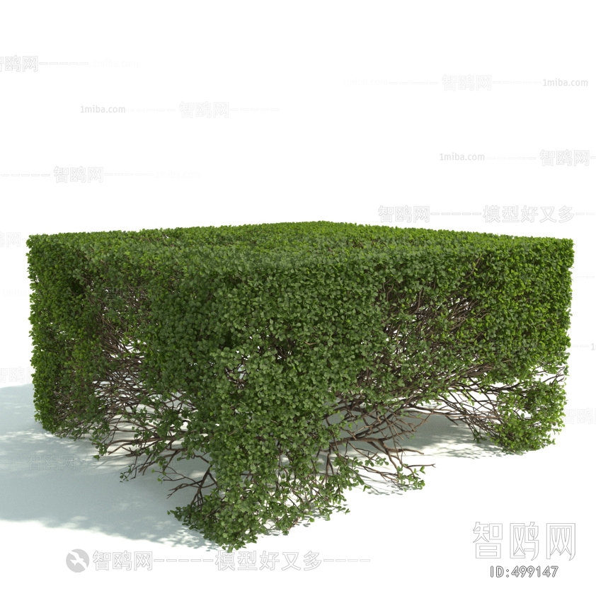 Modern Shrubbery