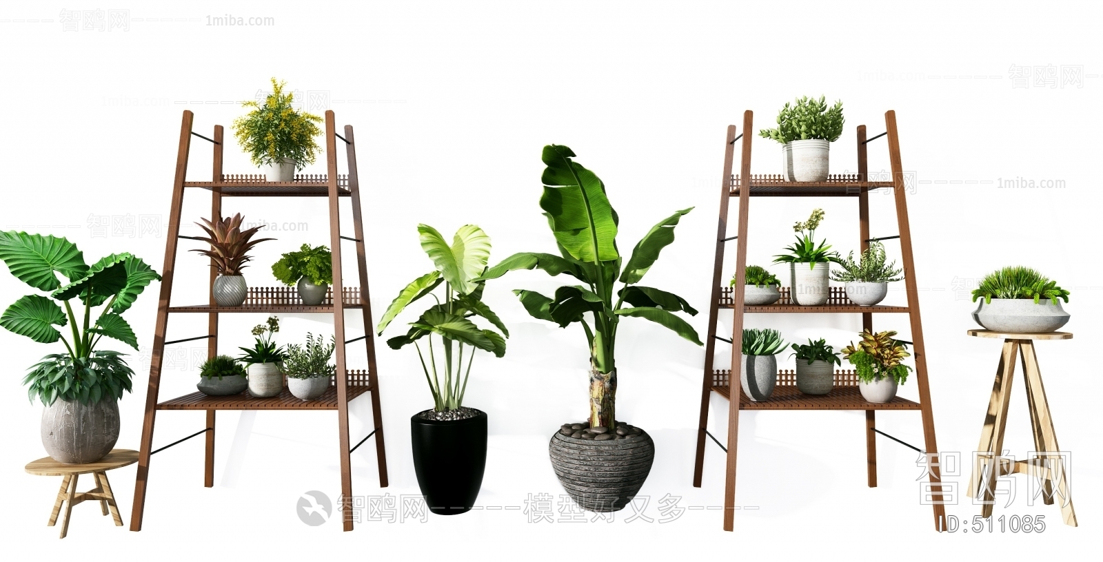 Modern Potted Green Plant