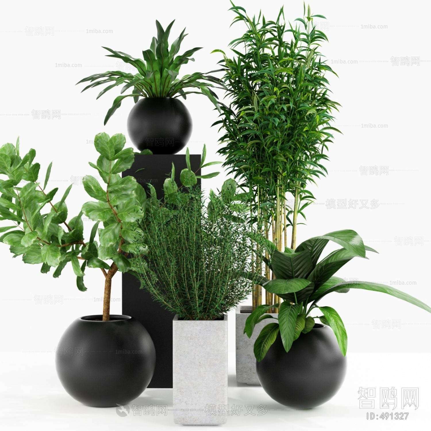 Modern Potted Green Plant