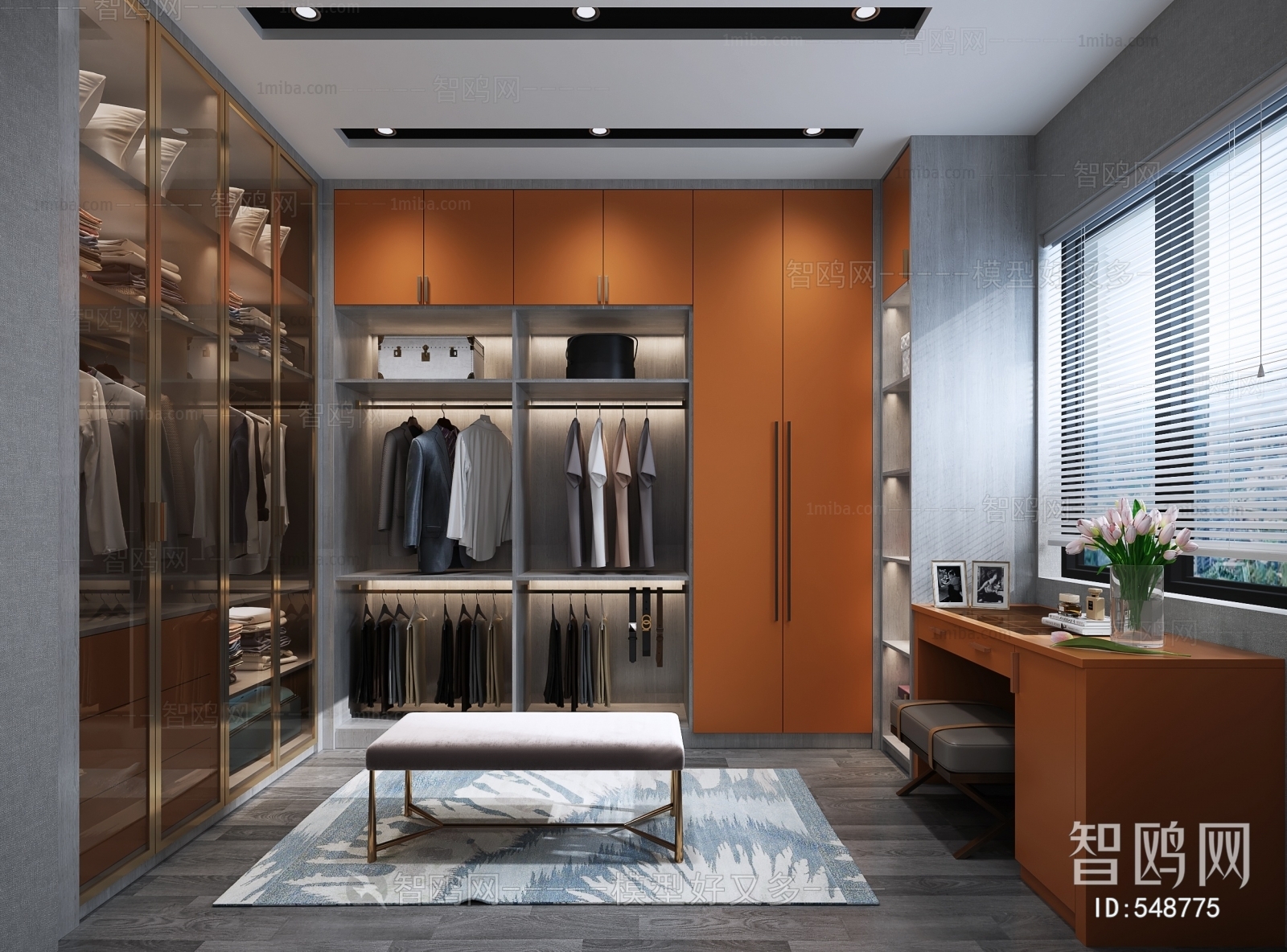 Modern Clothes Storage Area