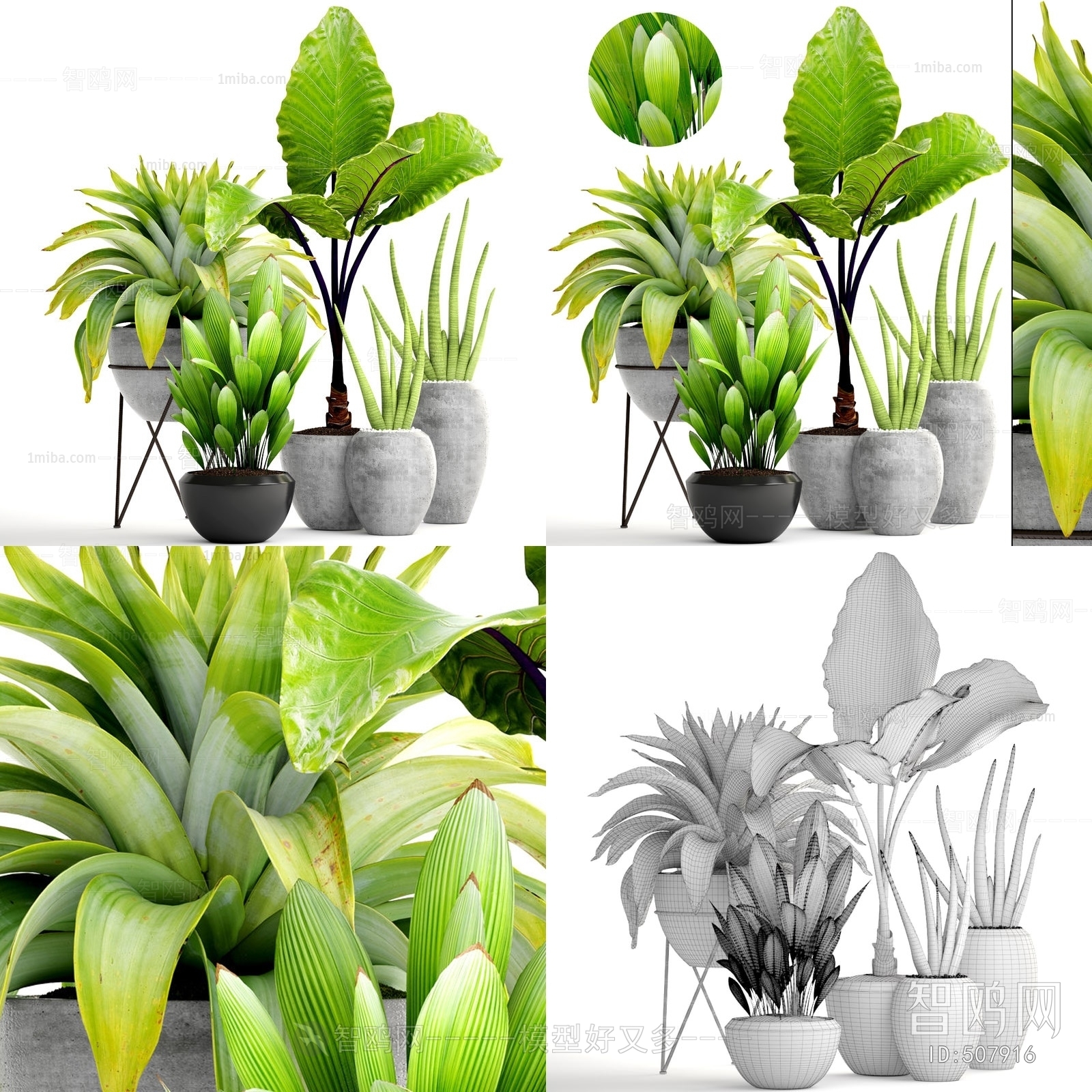 Modern Potted Green Plant