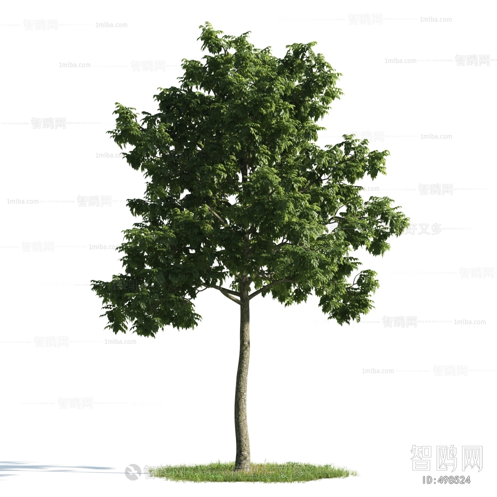 Modern Tree