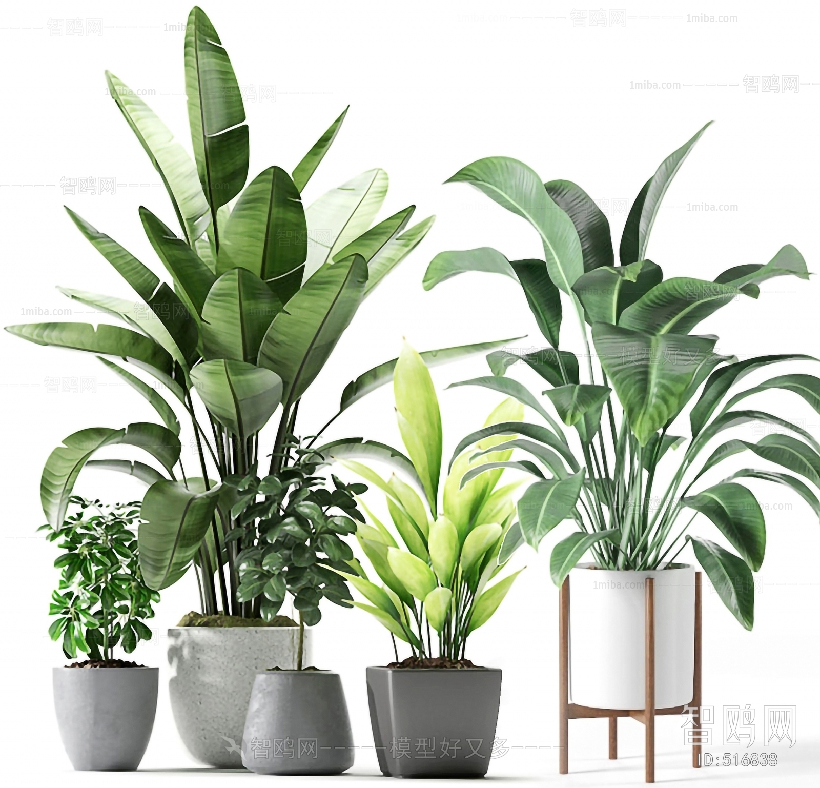 Modern Potted Green Plant