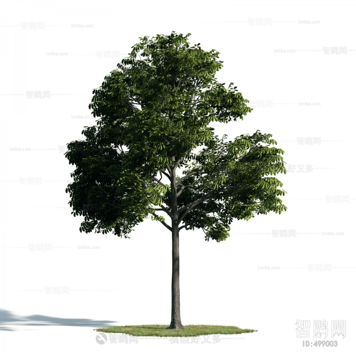 Modern Tree