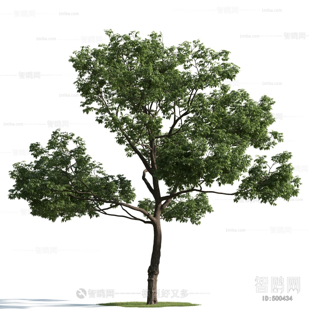 Modern Tree