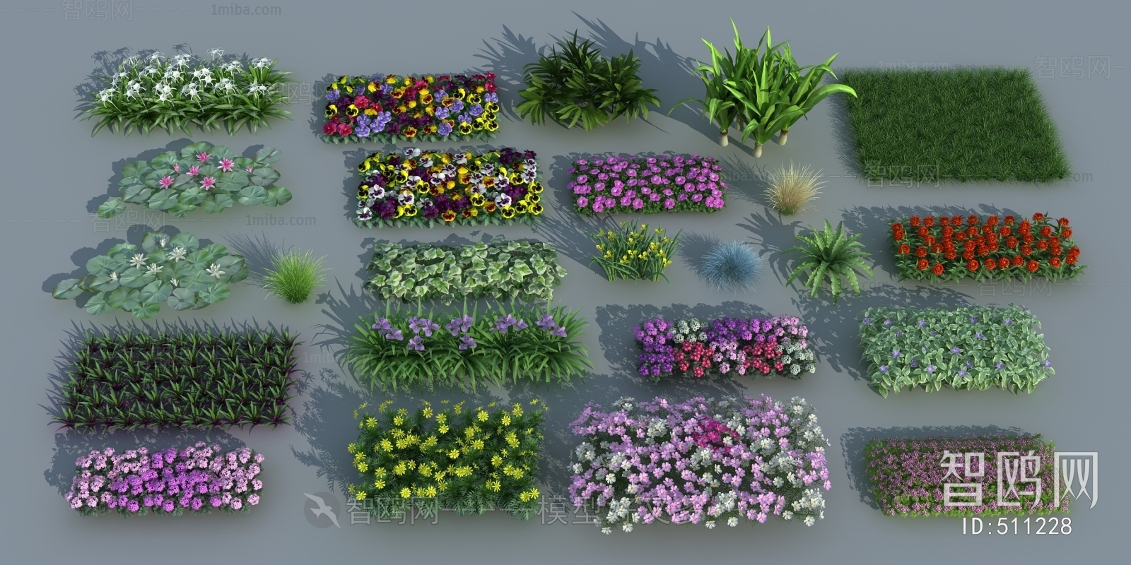 Modern Flowers And Grass