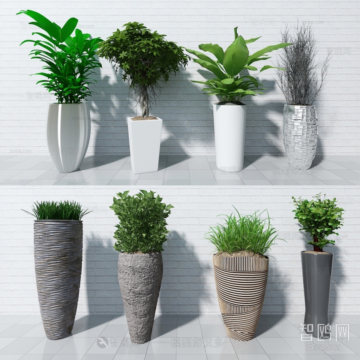 Modern Potted Green Plant