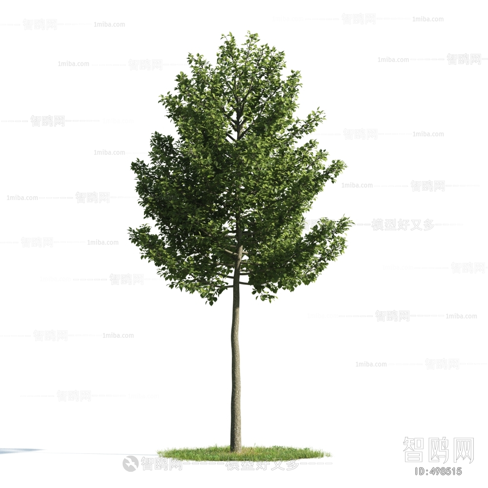 Modern Tree