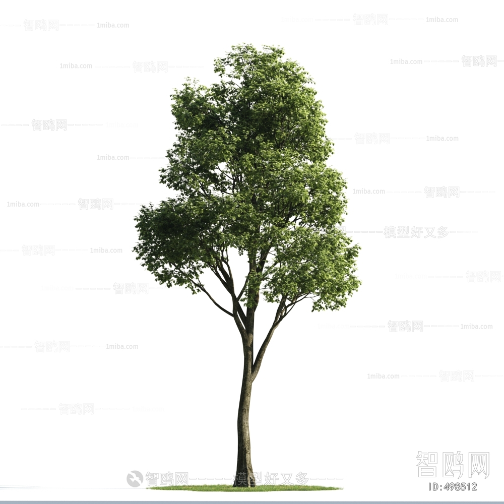 Modern Tree