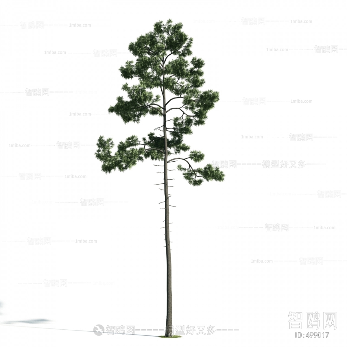 Modern Tree