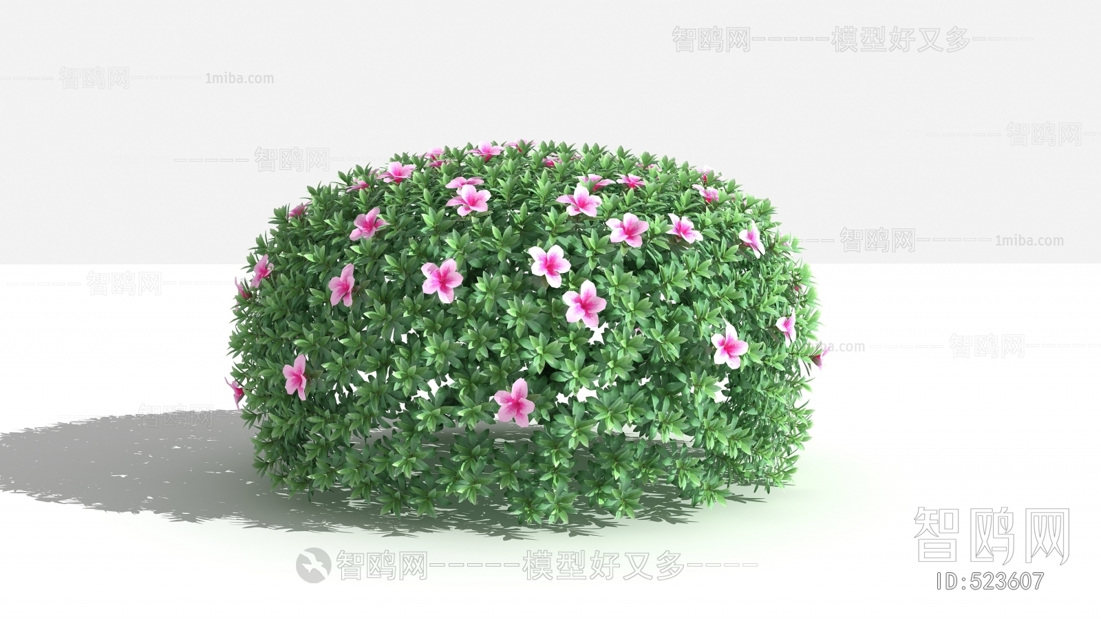 Modern Shrubbery