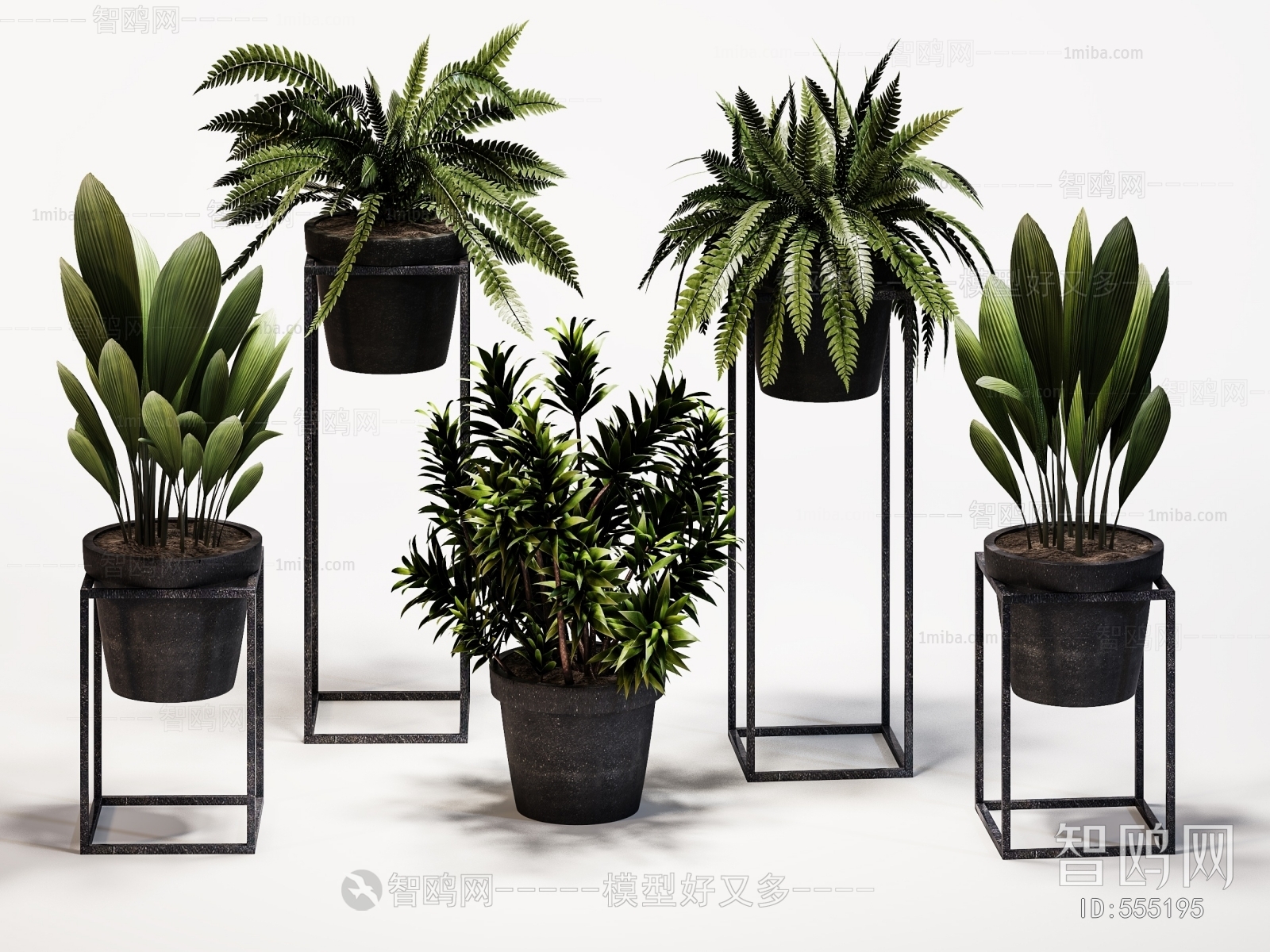 Modern Potted Green Plant