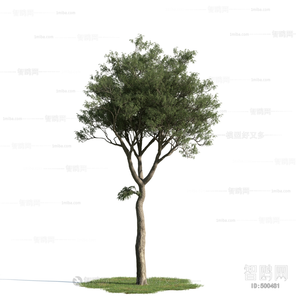 Modern Tree