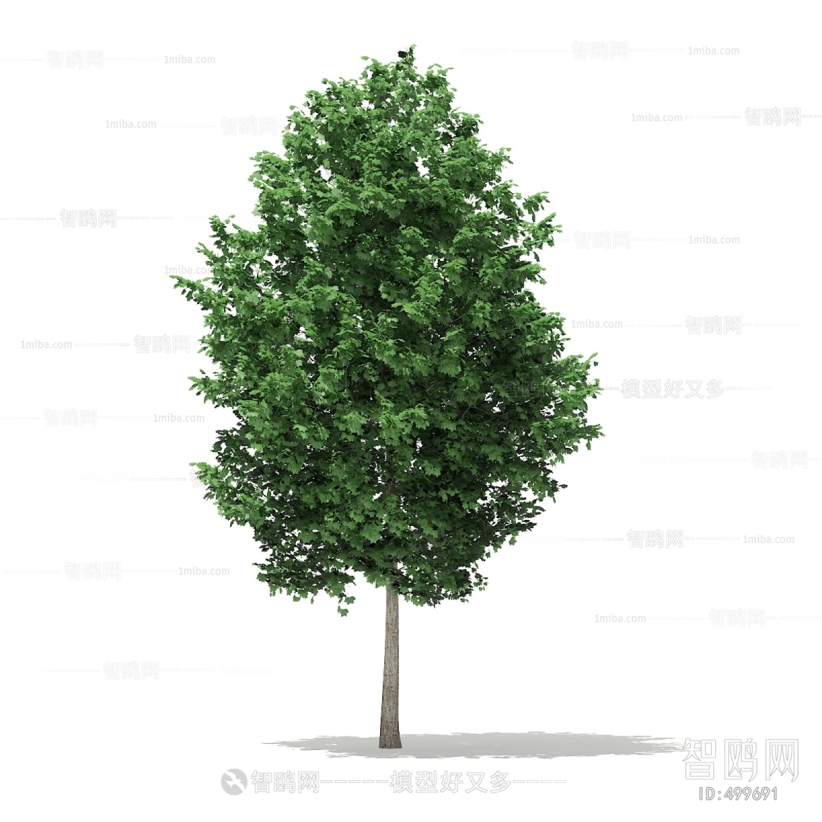 Modern Tree