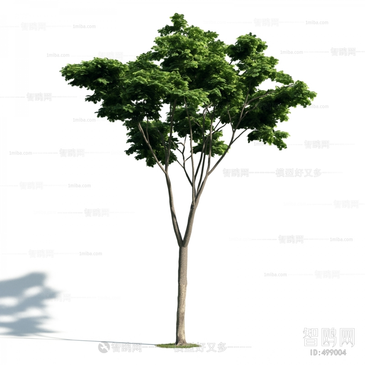 Modern Tree