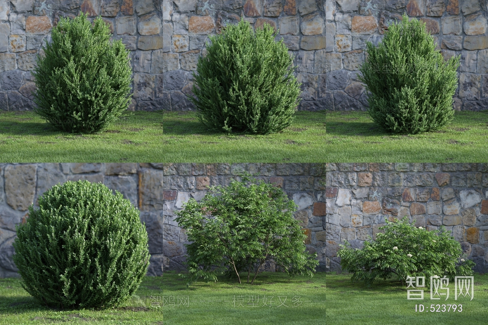 Modern Shrubbery