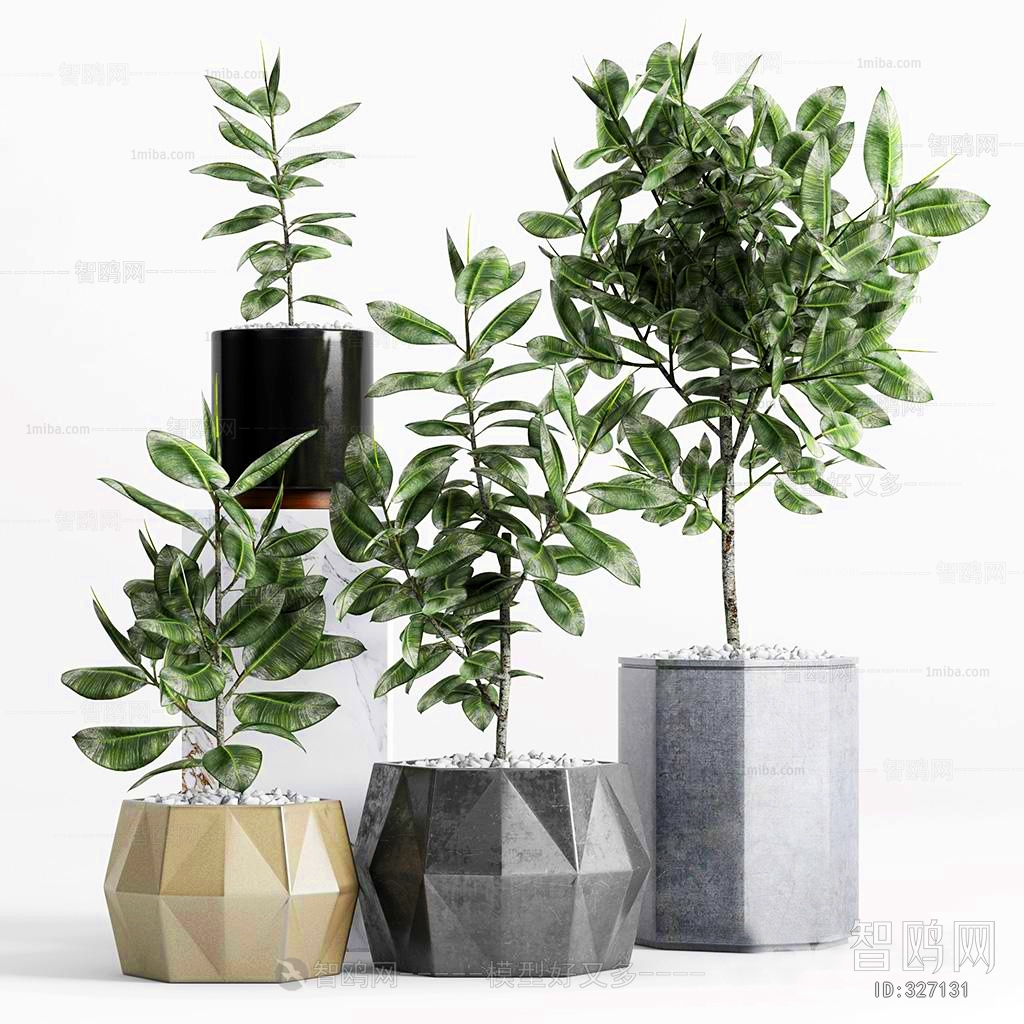 Modern Potted Green Plant