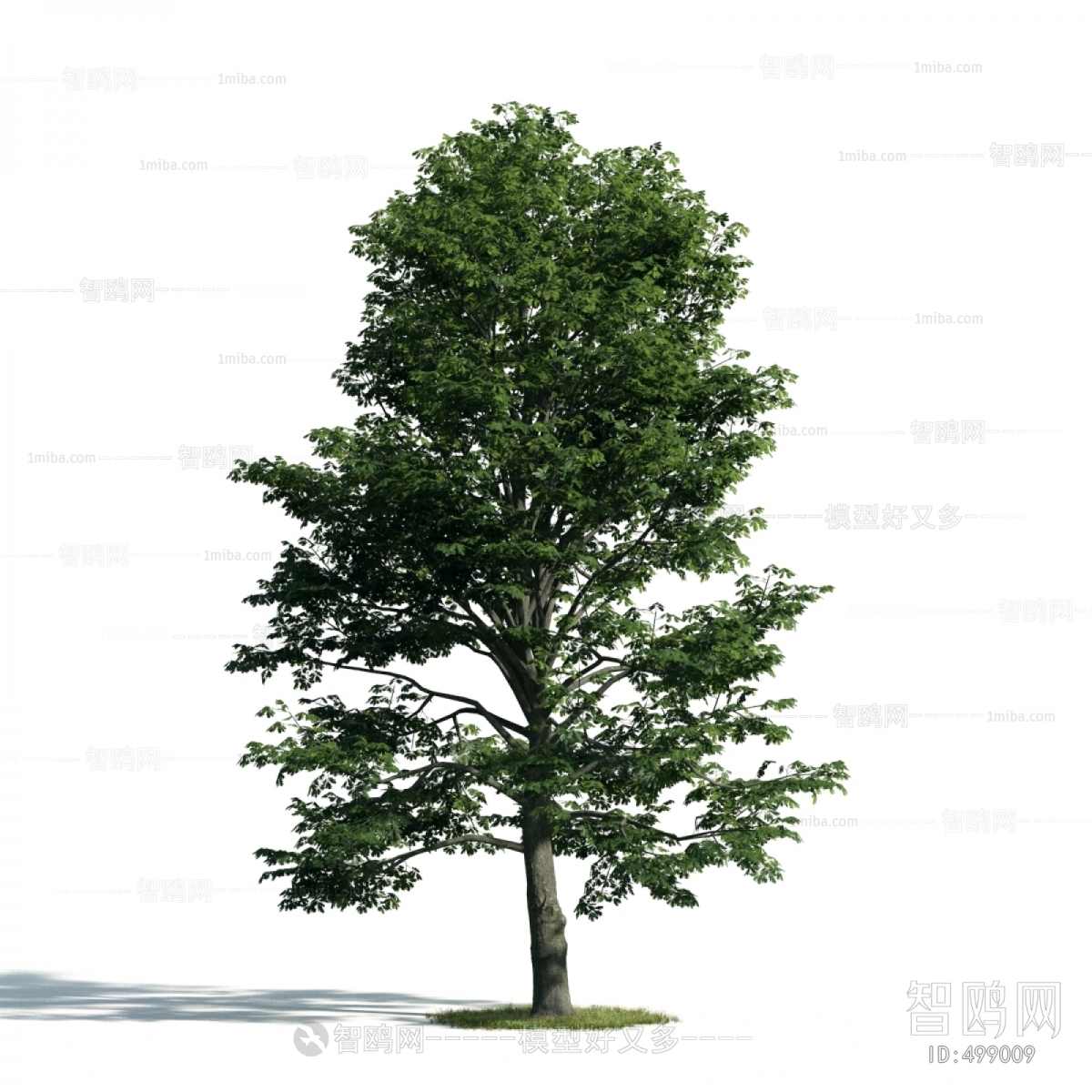 Modern Tree