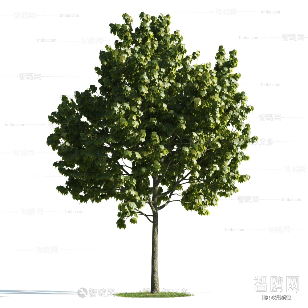 Modern Tree