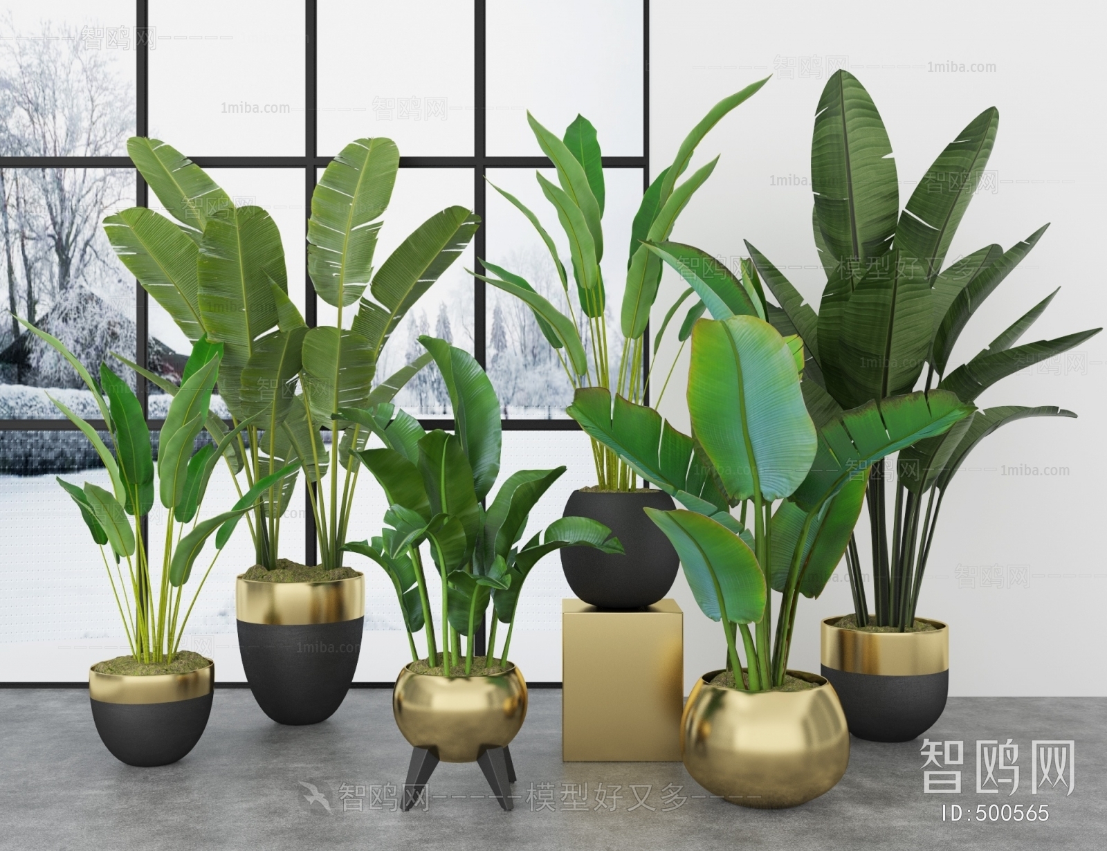 Modern Potted Green Plant