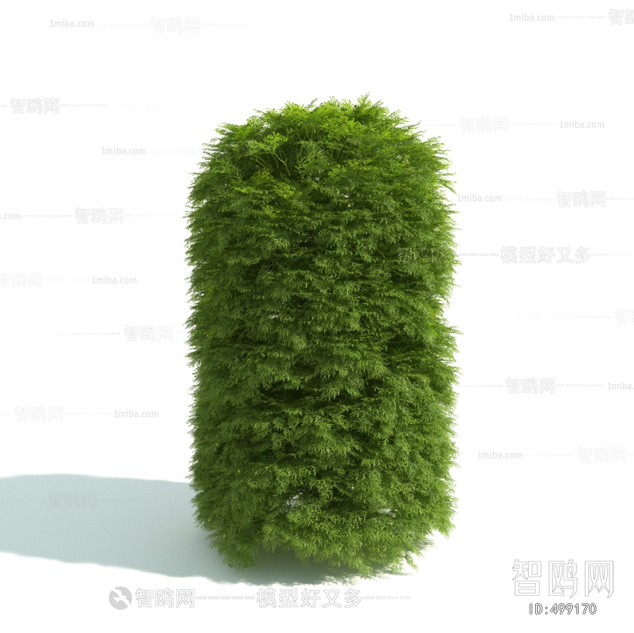 Modern Shrubbery