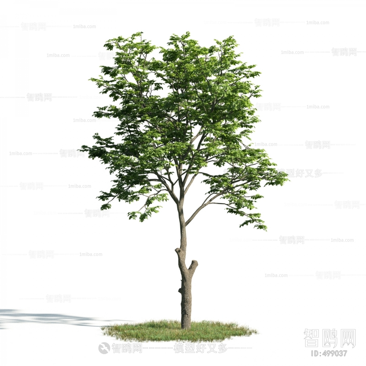 Modern Tree