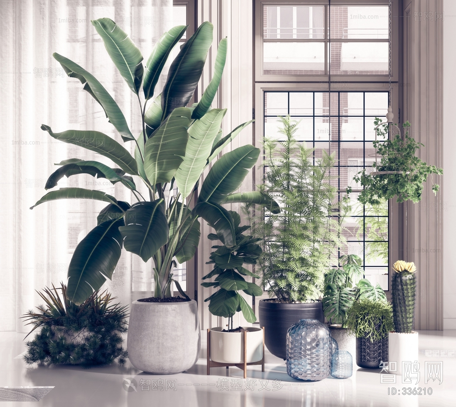 Modern Potted Green Plant