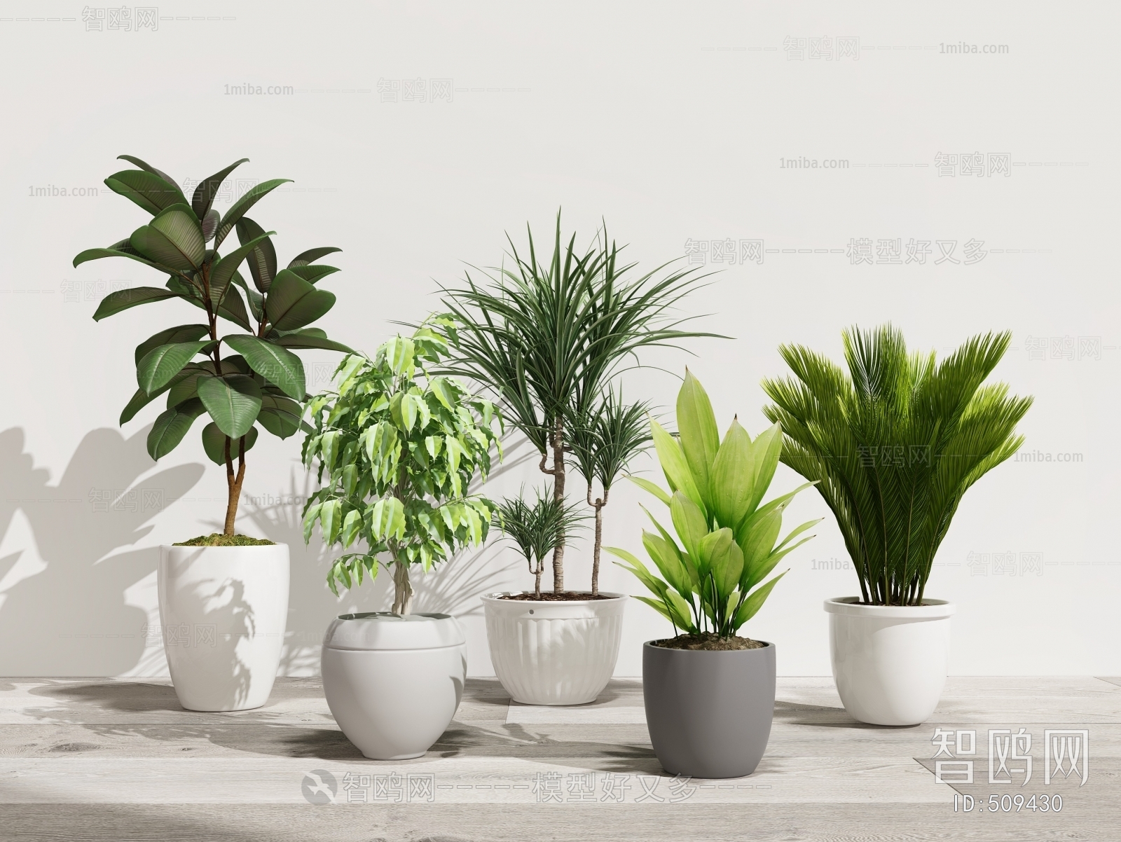 Modern Potted Green Plant