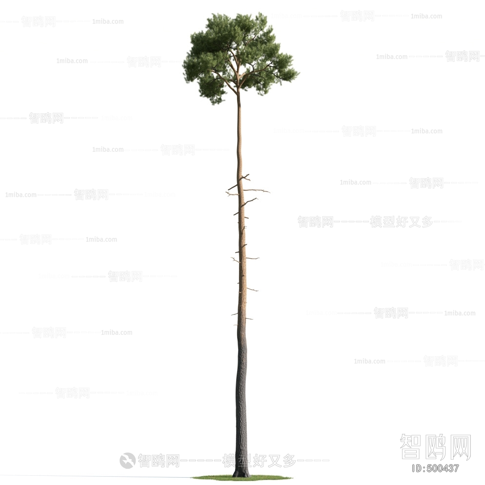 Modern Tree