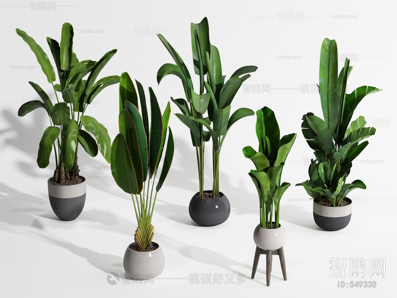 Modern Potted Green Plant