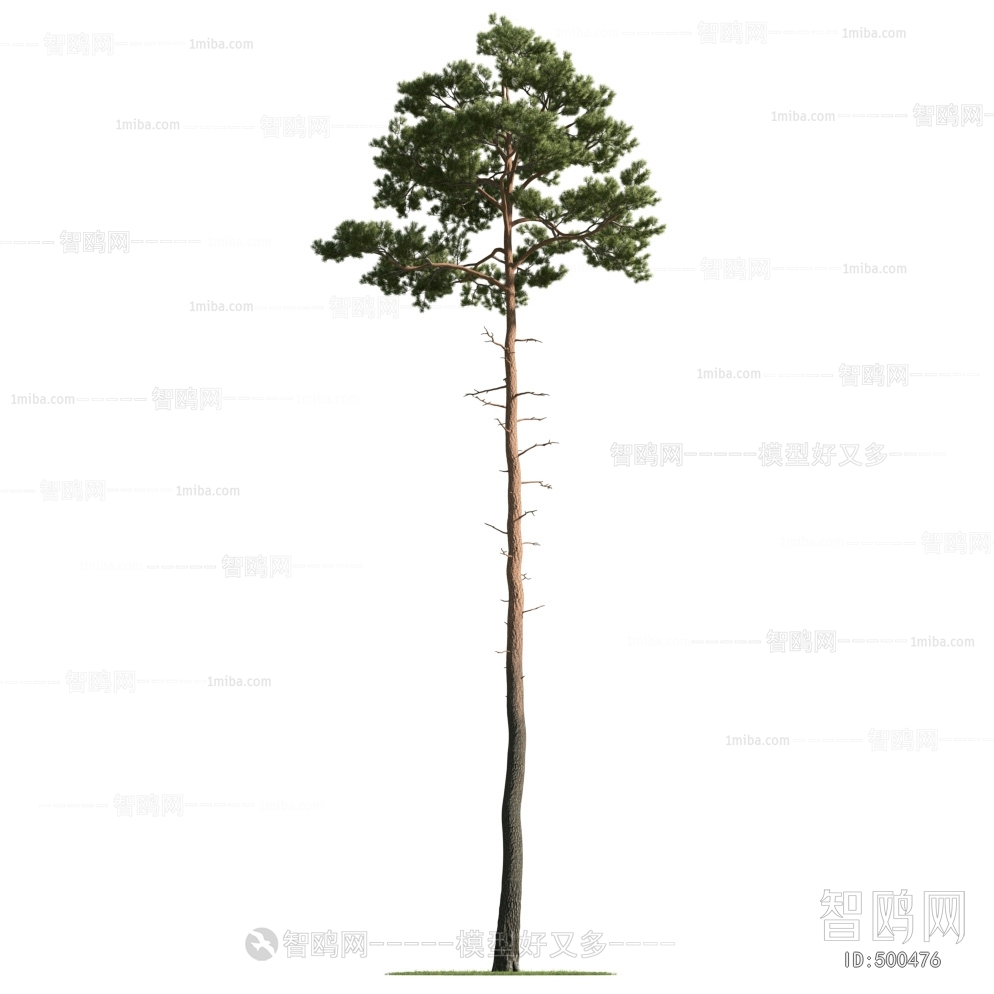 Modern Tree