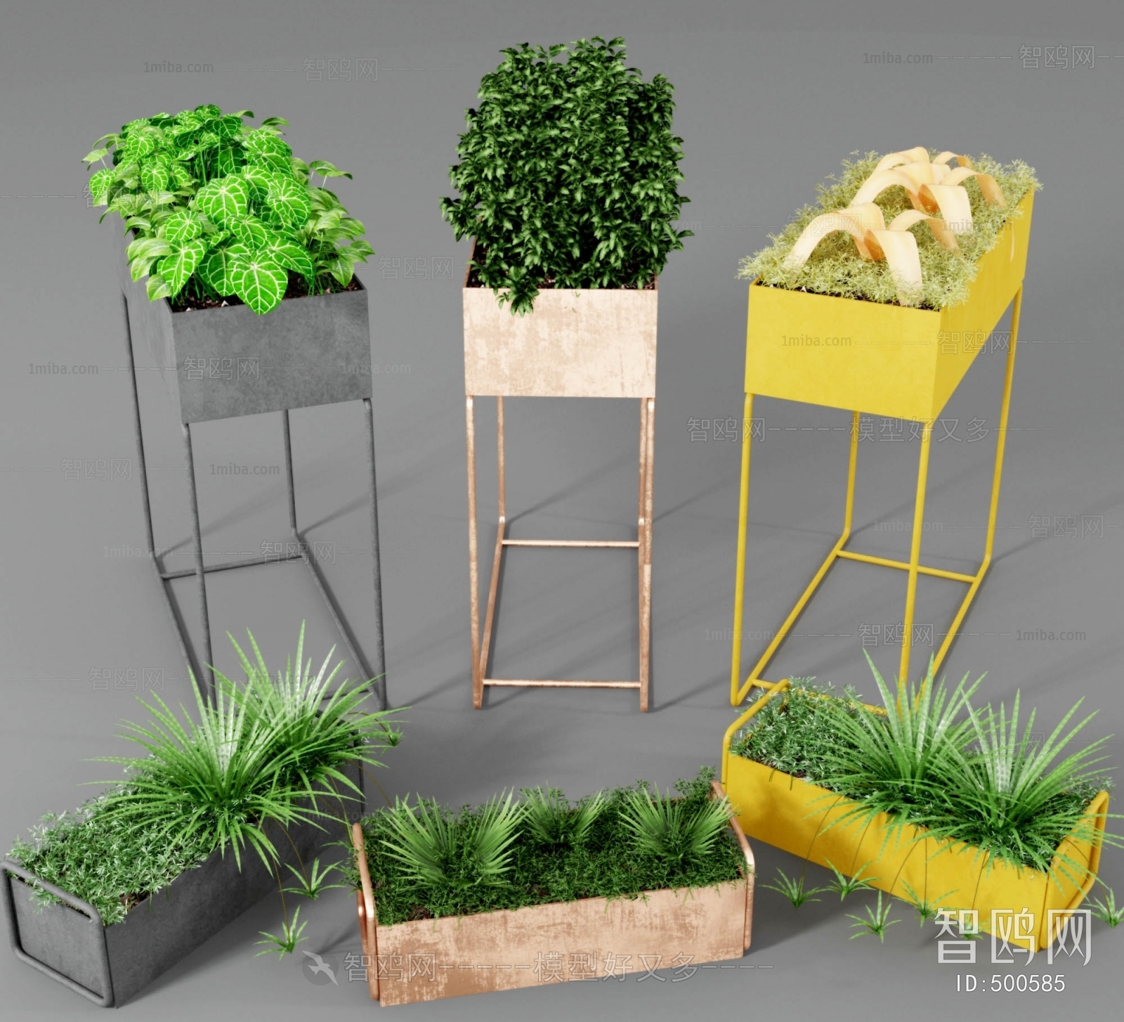 Industrial Style Potted Green Plant