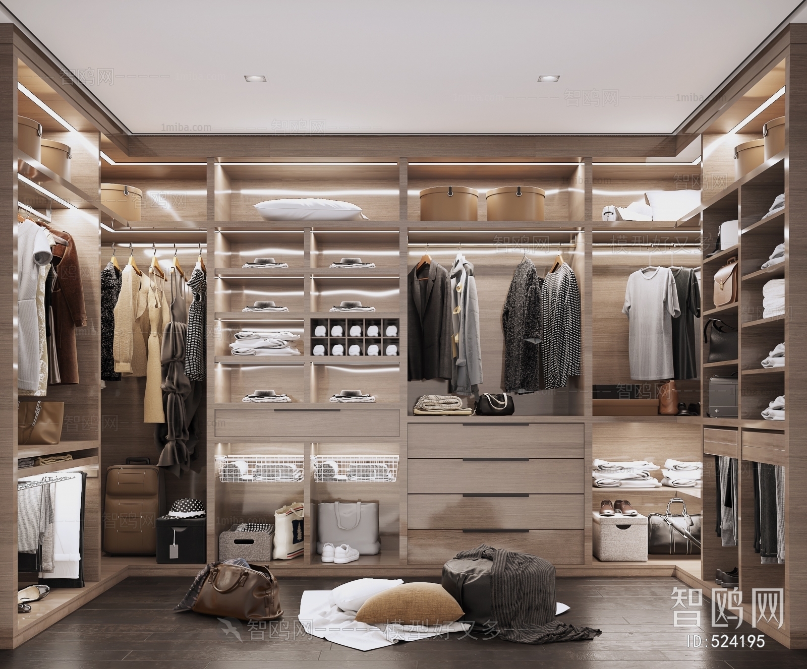 Modern Clothes Storage Area