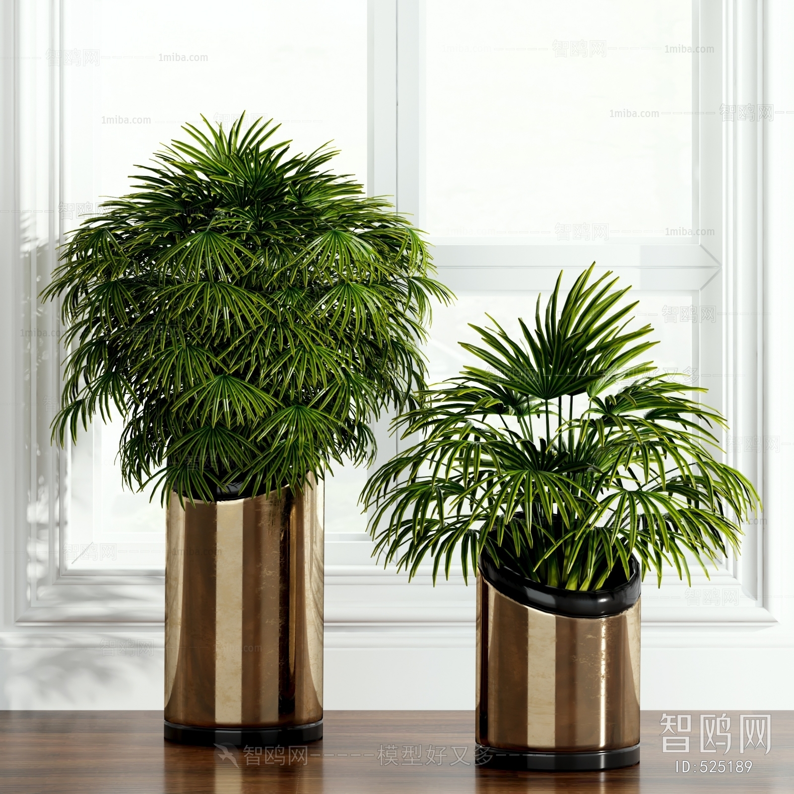 Modern Potted Green Plant