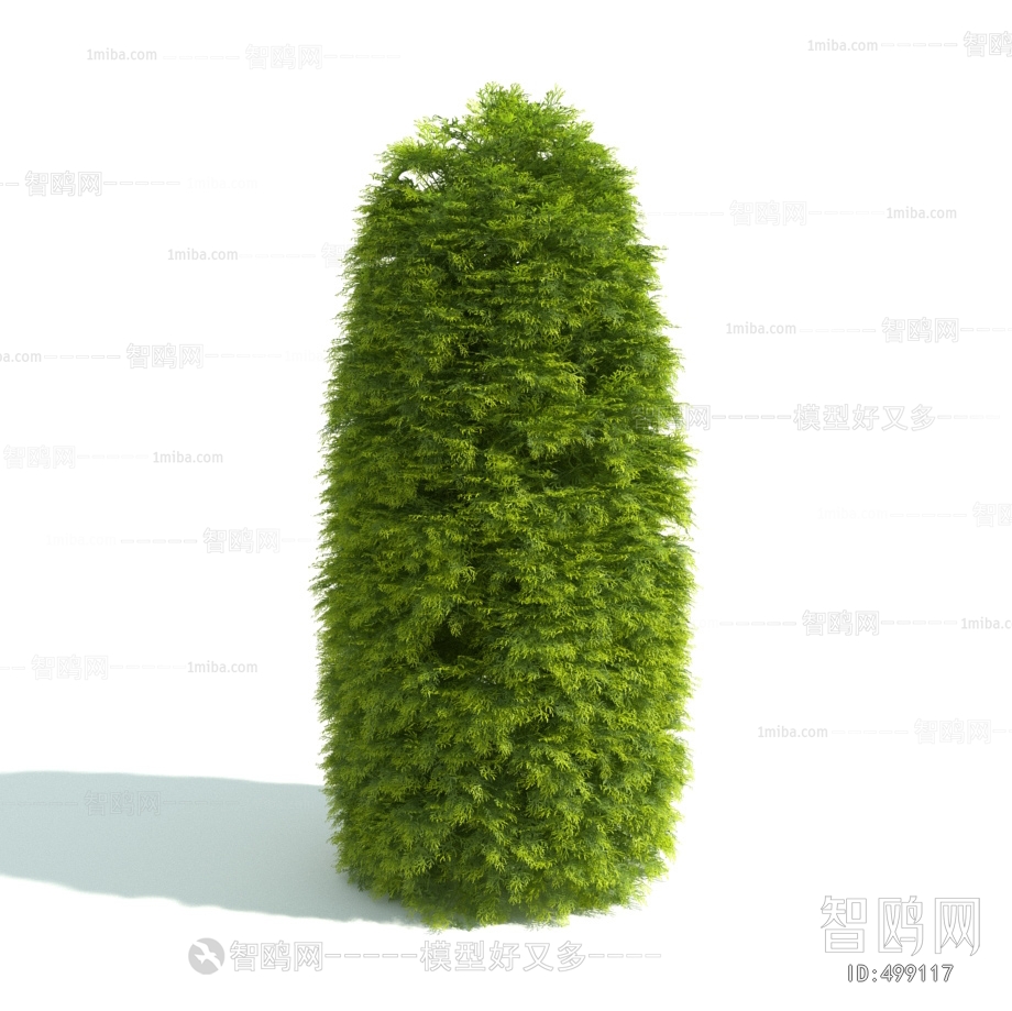 Modern Shrubbery