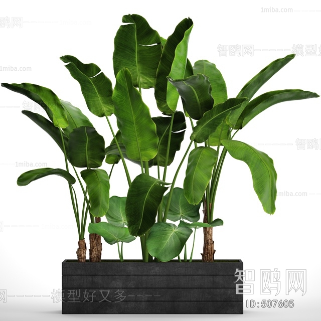 Modern Potted Green Plant