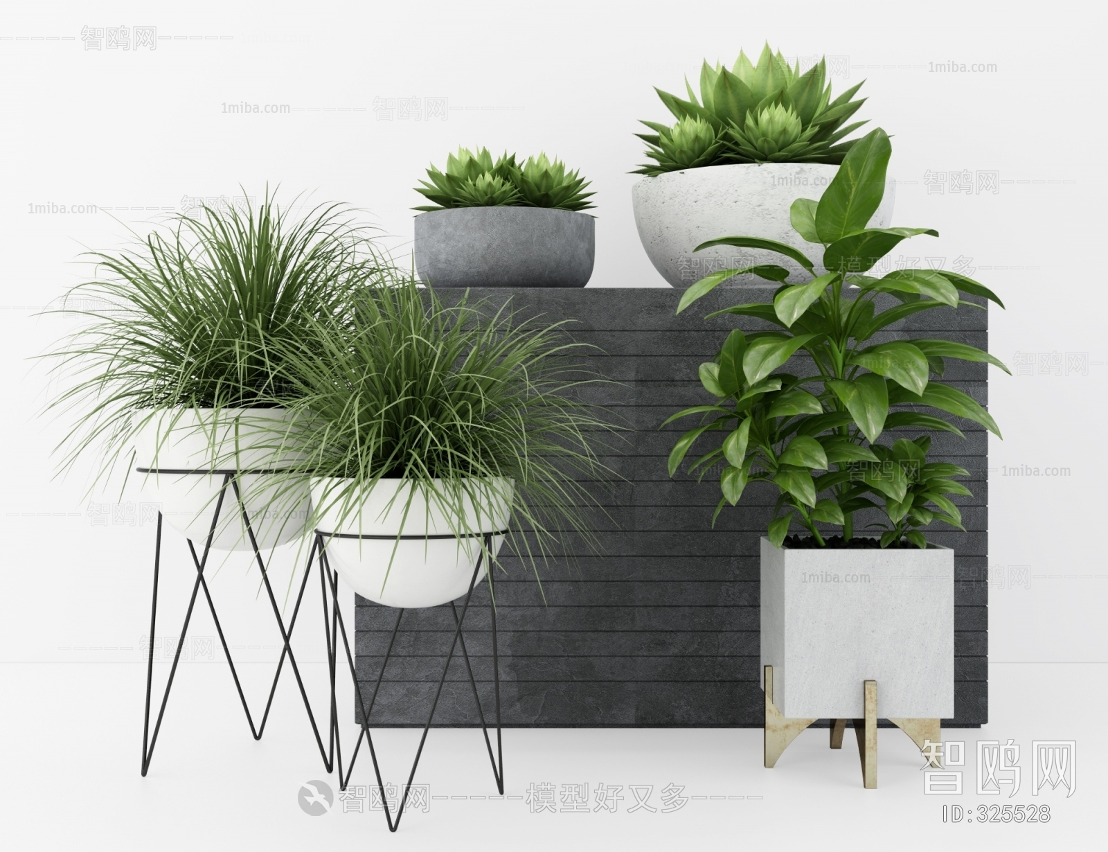 Modern Potted Green Plant