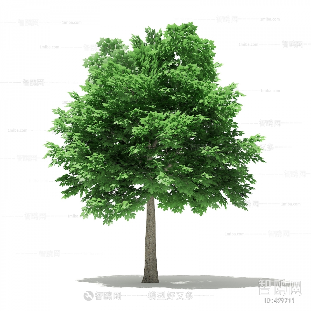 Modern Tree