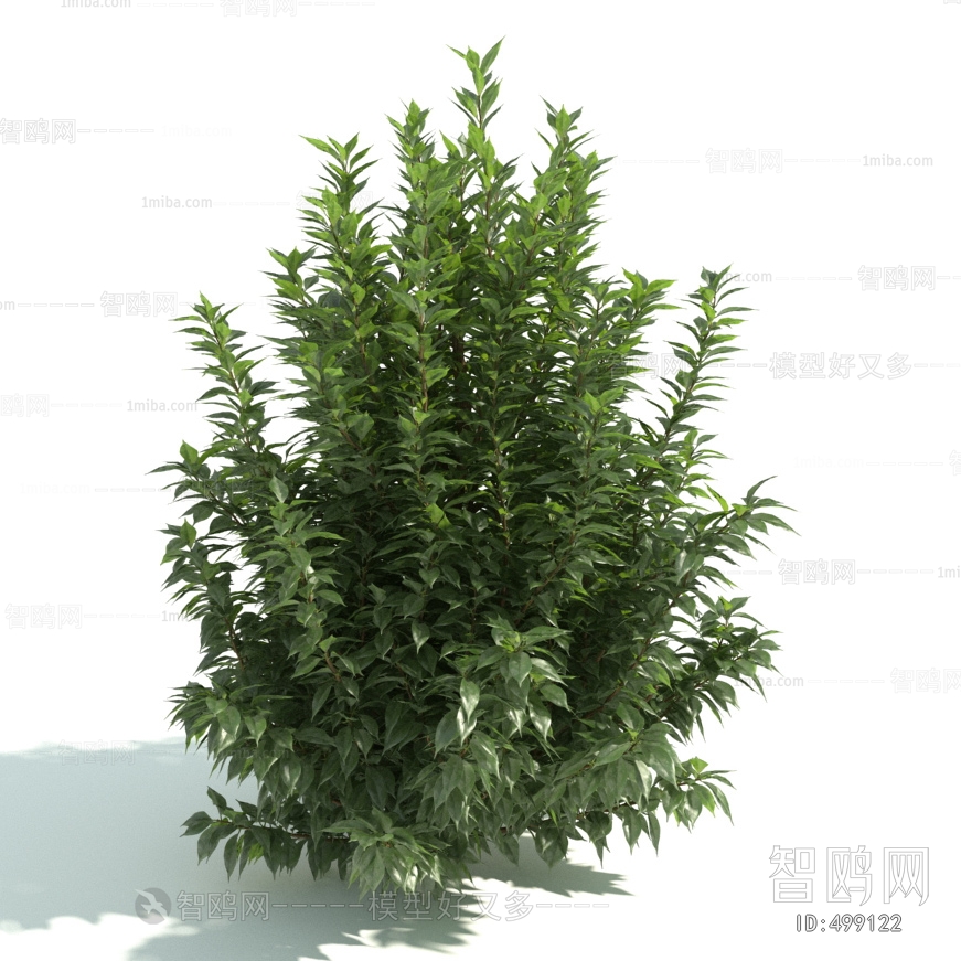 Modern Shrubbery