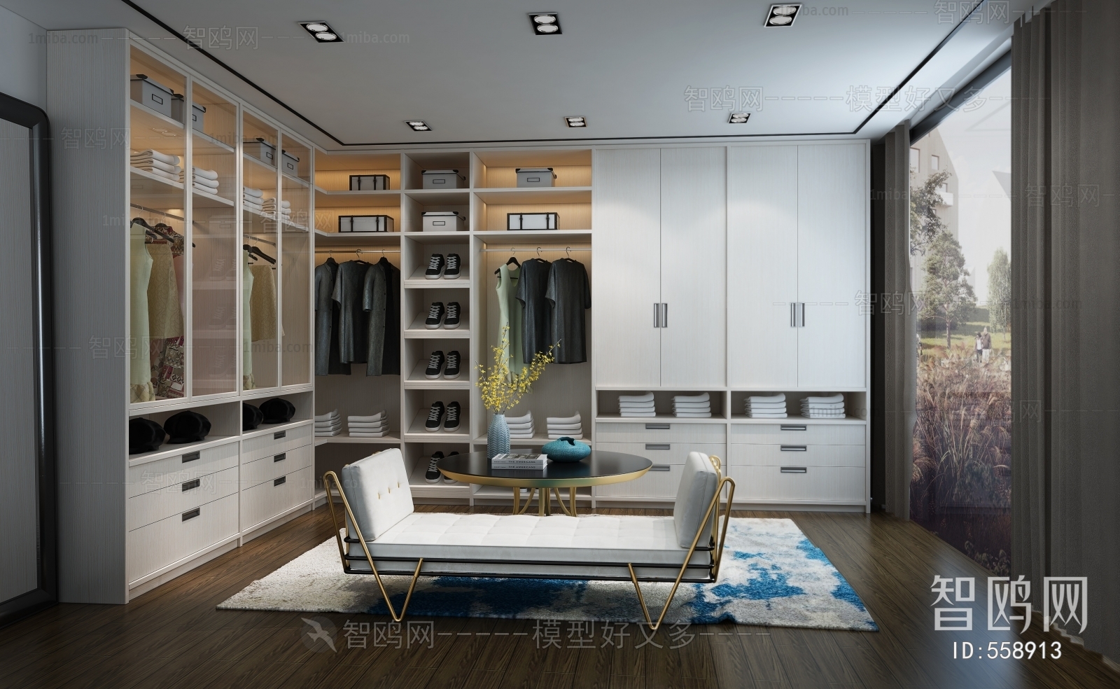 Modern Clothes Storage Area