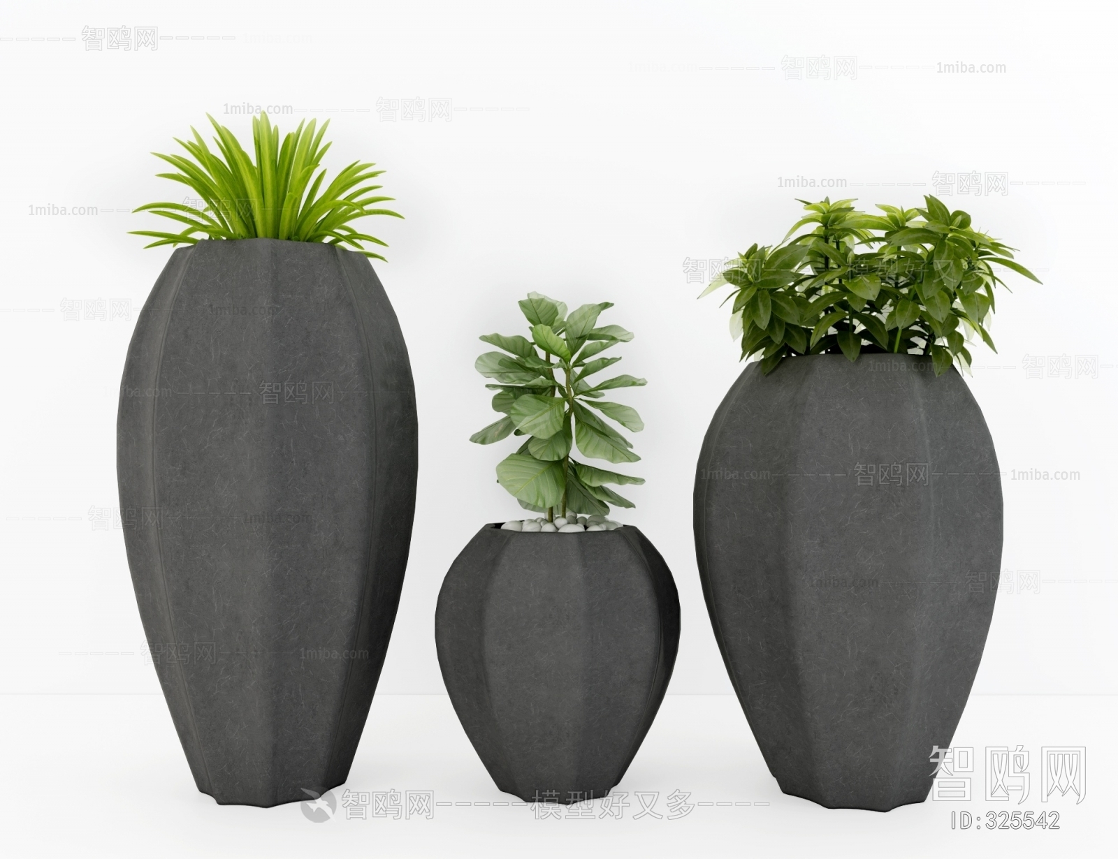 Modern Potted Green Plant