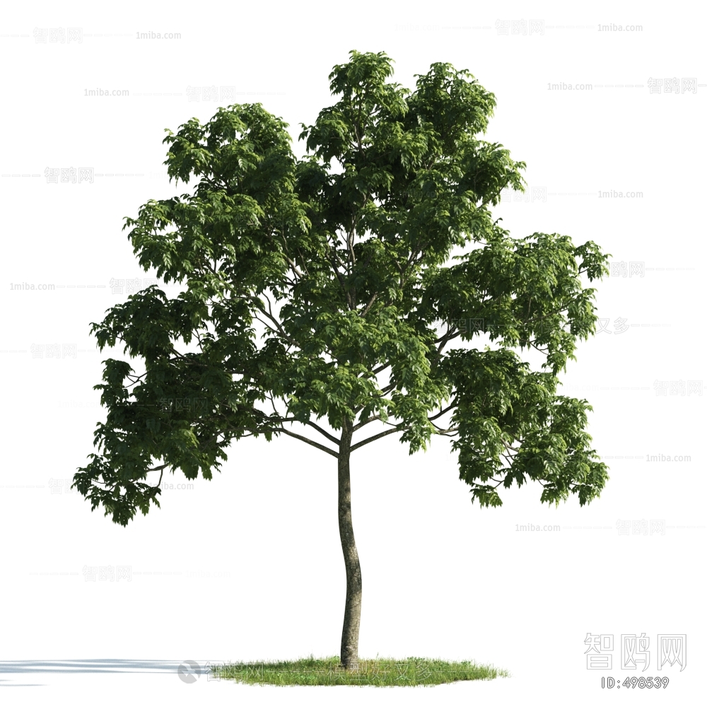 Modern Tree