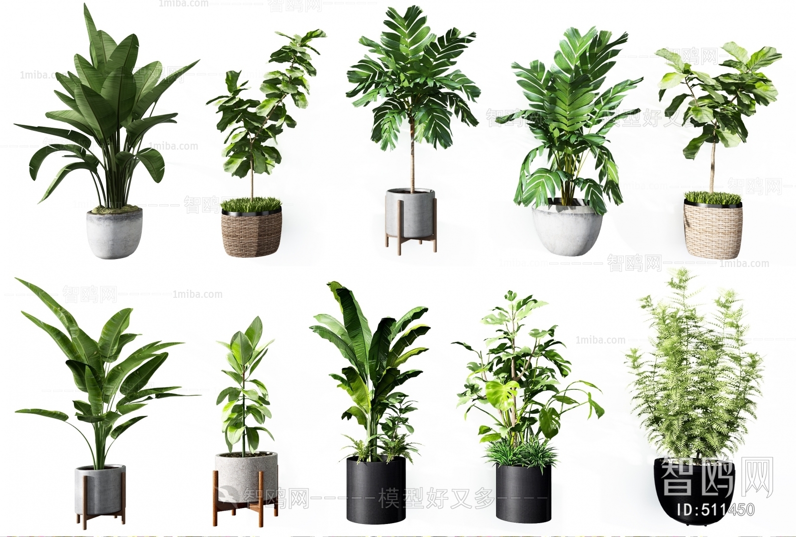 Modern Potted Green Plant