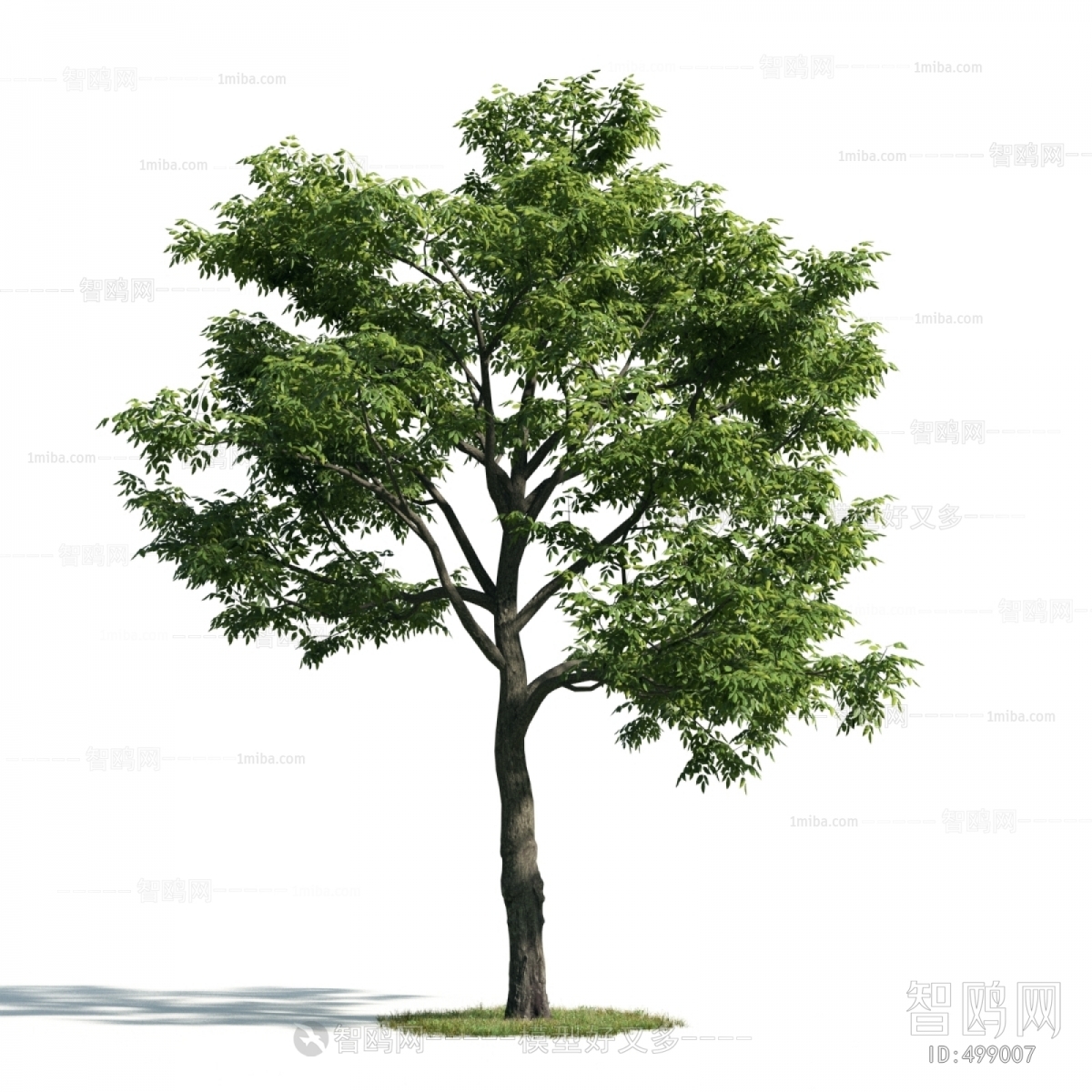 Modern Tree