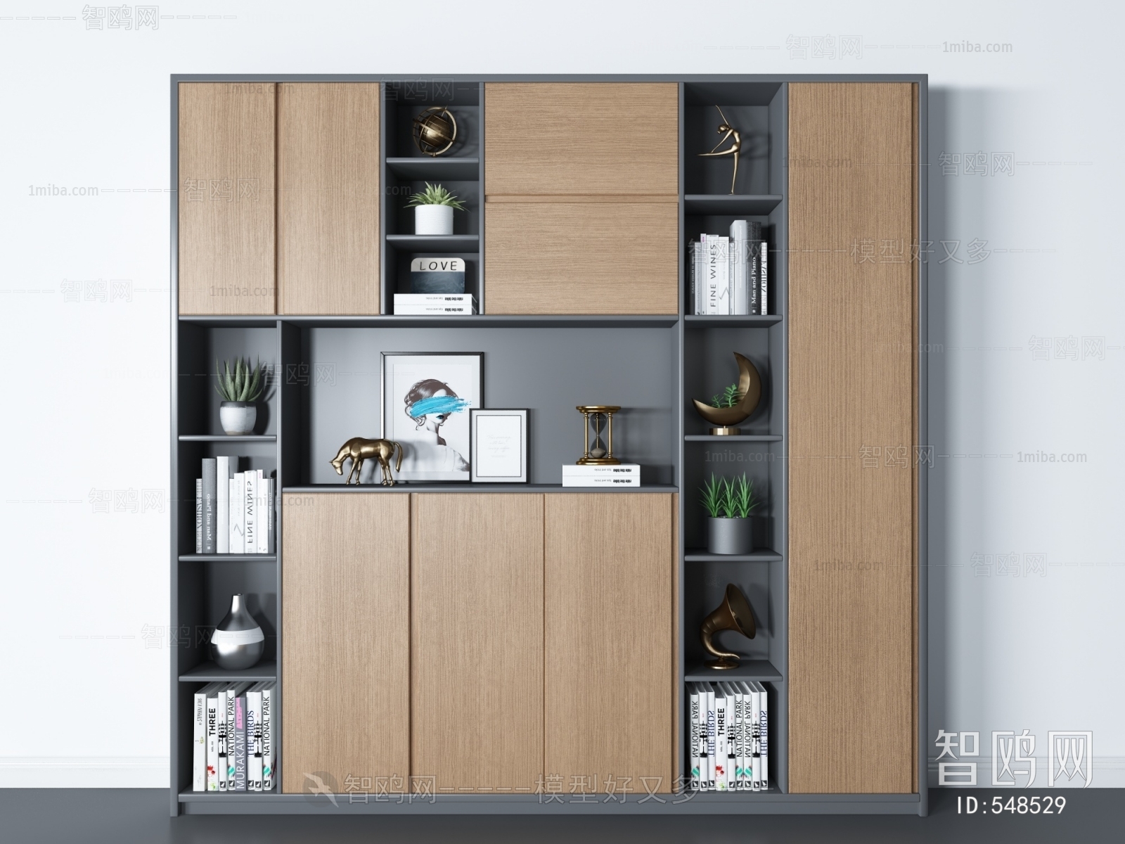 Modern Bookcase