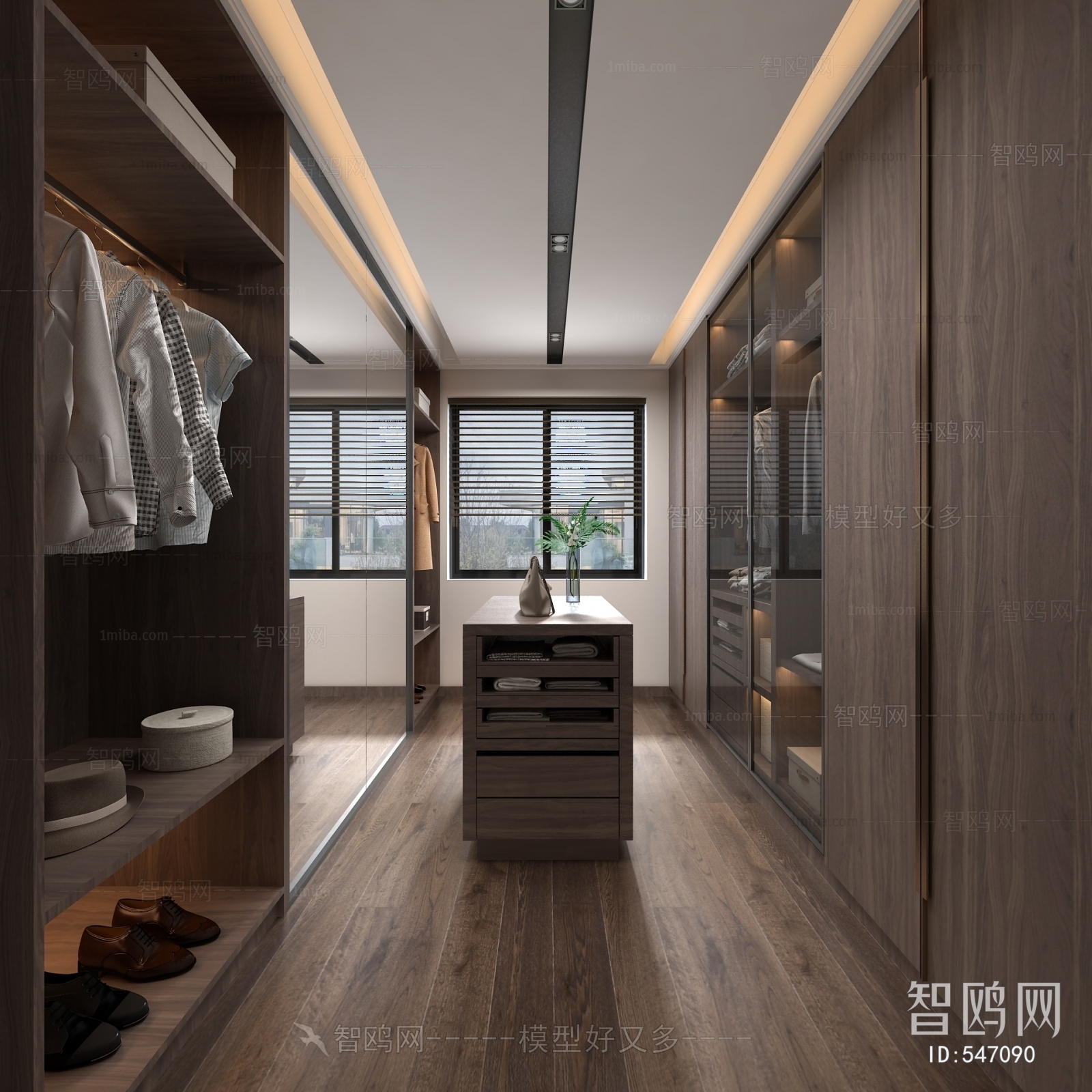 Modern Clothes Storage Area