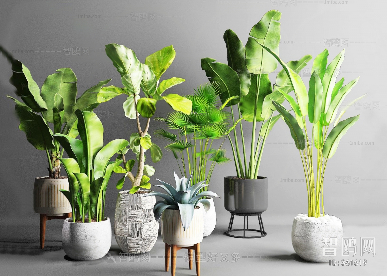 Modern Potted Green Plant