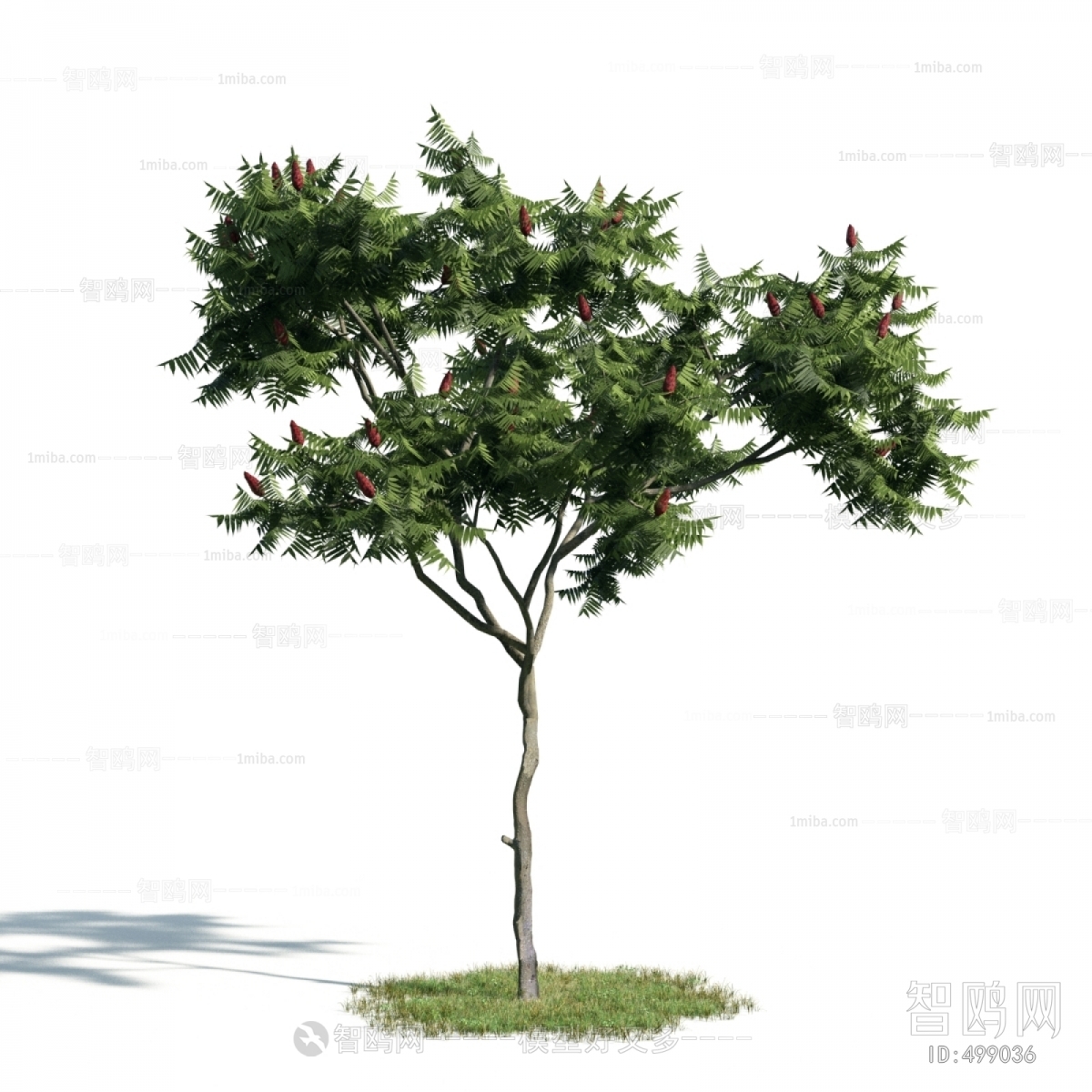 Modern Tree