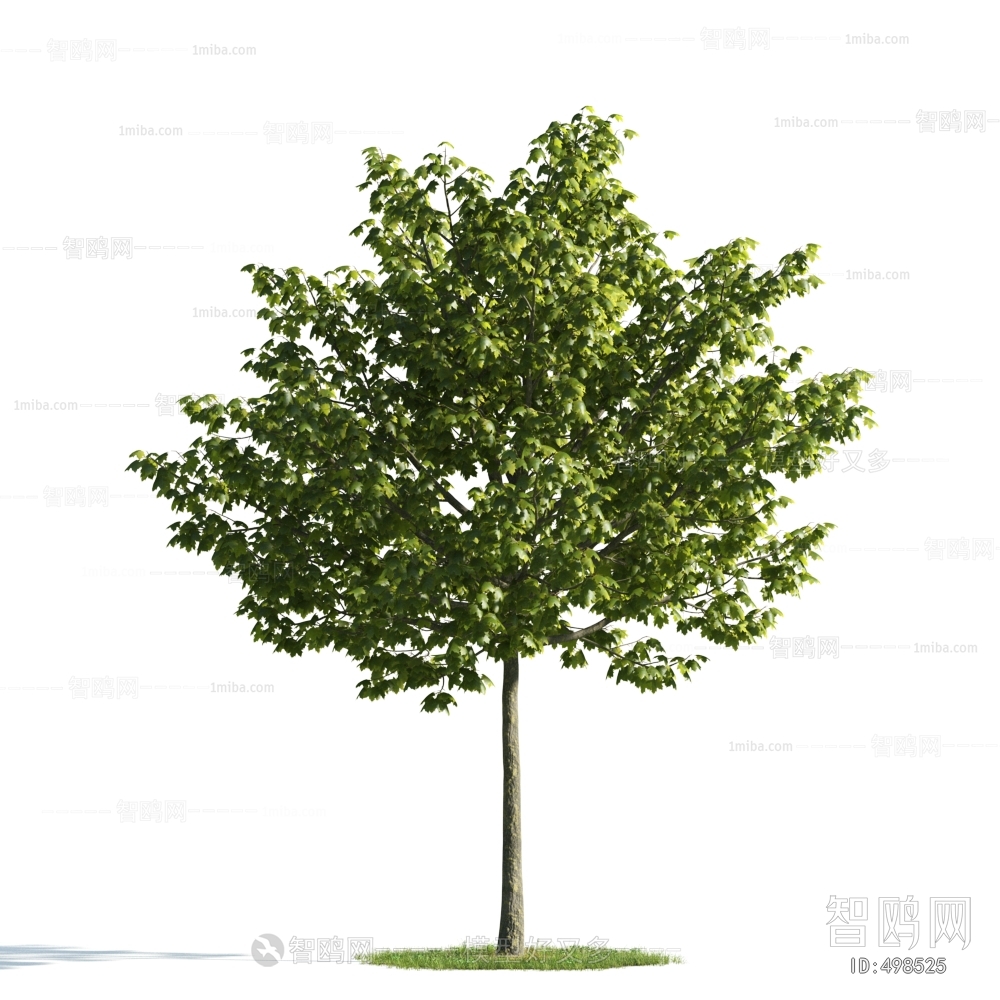 Modern Tree