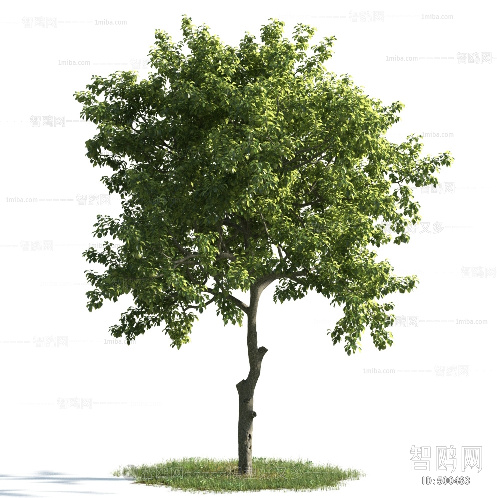 Modern Tree